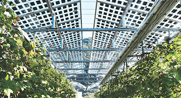 Latest company blogs about Italy Releases New Regulations on Solar Project Site Selection and Solar Tax Incentives